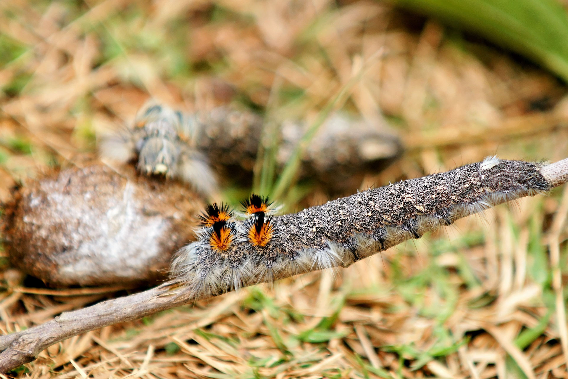 Wanderung in der Umgebung von Ambositra